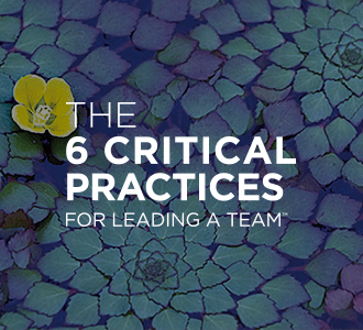 The 6 Critical Practices for Leading a Team™